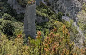 Auf den Pfaden der Toten und Cape Palliser