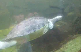 Im Zoo