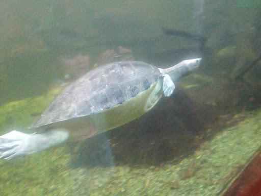 Im Zoo