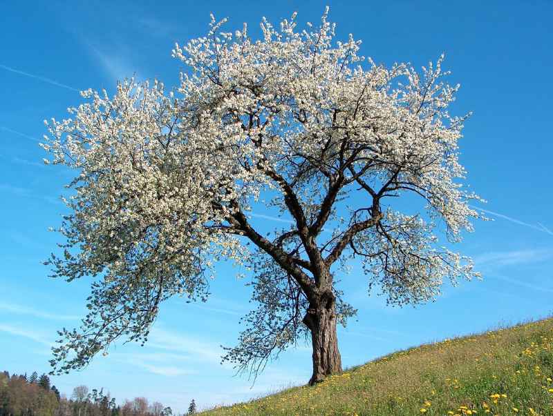 Jetzt ist endlich Frühling...