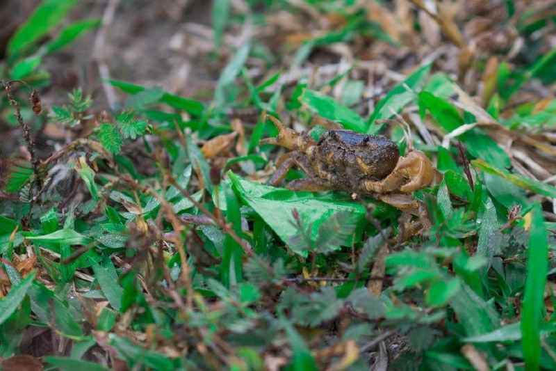 Wanderung durch den Periyar National Park