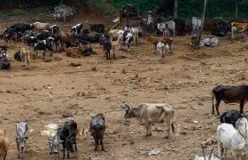 Der Weg nach Kottayam