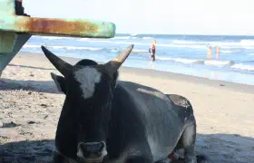 மாமல்லபுரம்