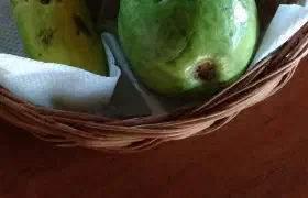 Obst