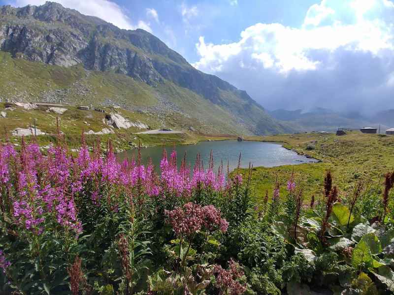 Einmal quer durch die Schweiz (und weiter nach Hause)