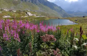 Einmal quer durch die Schweiz (und weiter nach Hause)
