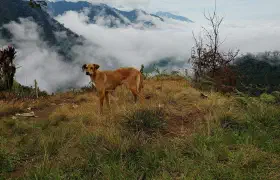 Offroad Excursion completed
