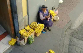Hop on hop off bus in Quito