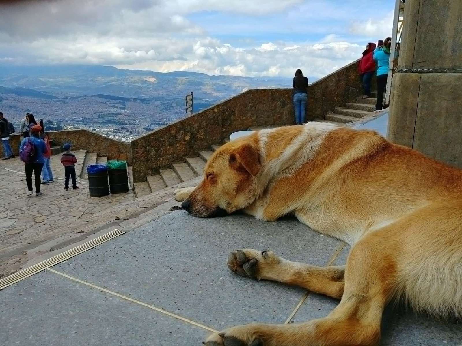 Cerro de Monserrate