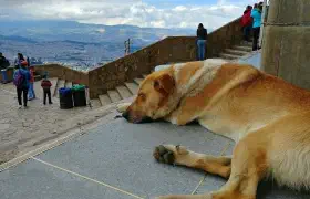 Cerro de Monserrate