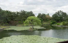 Unterwegs in Gyeongju (경주시)