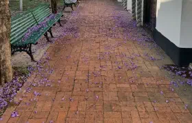 Es lebe der Zentralfriedhof