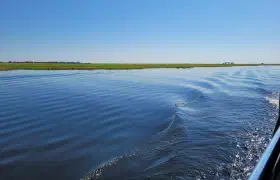 Ein kurzer Ausflug nach Botswana