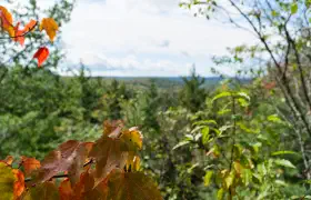 Algonquin Park