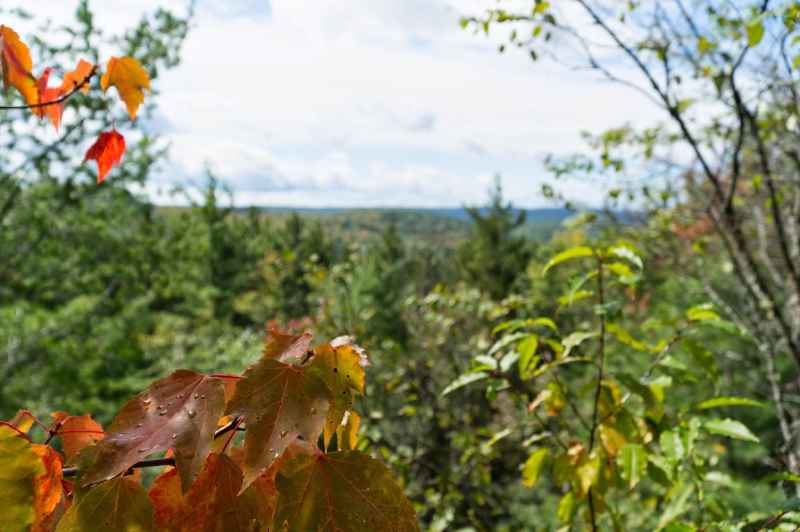 Algonquin Park